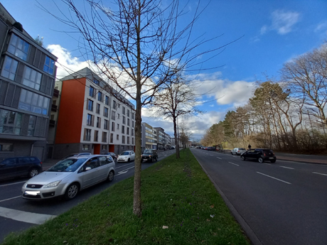 Koeln Zollstock